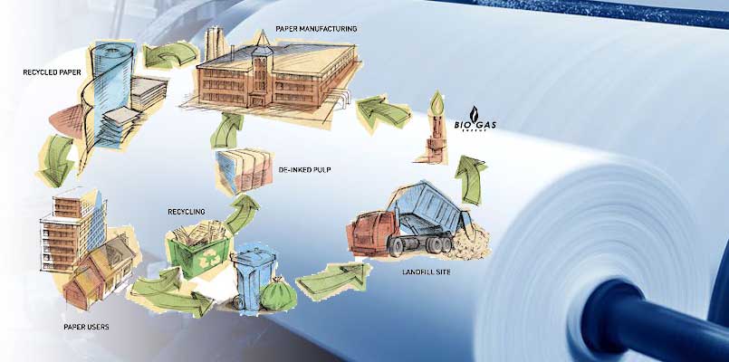 Paper and Pulp